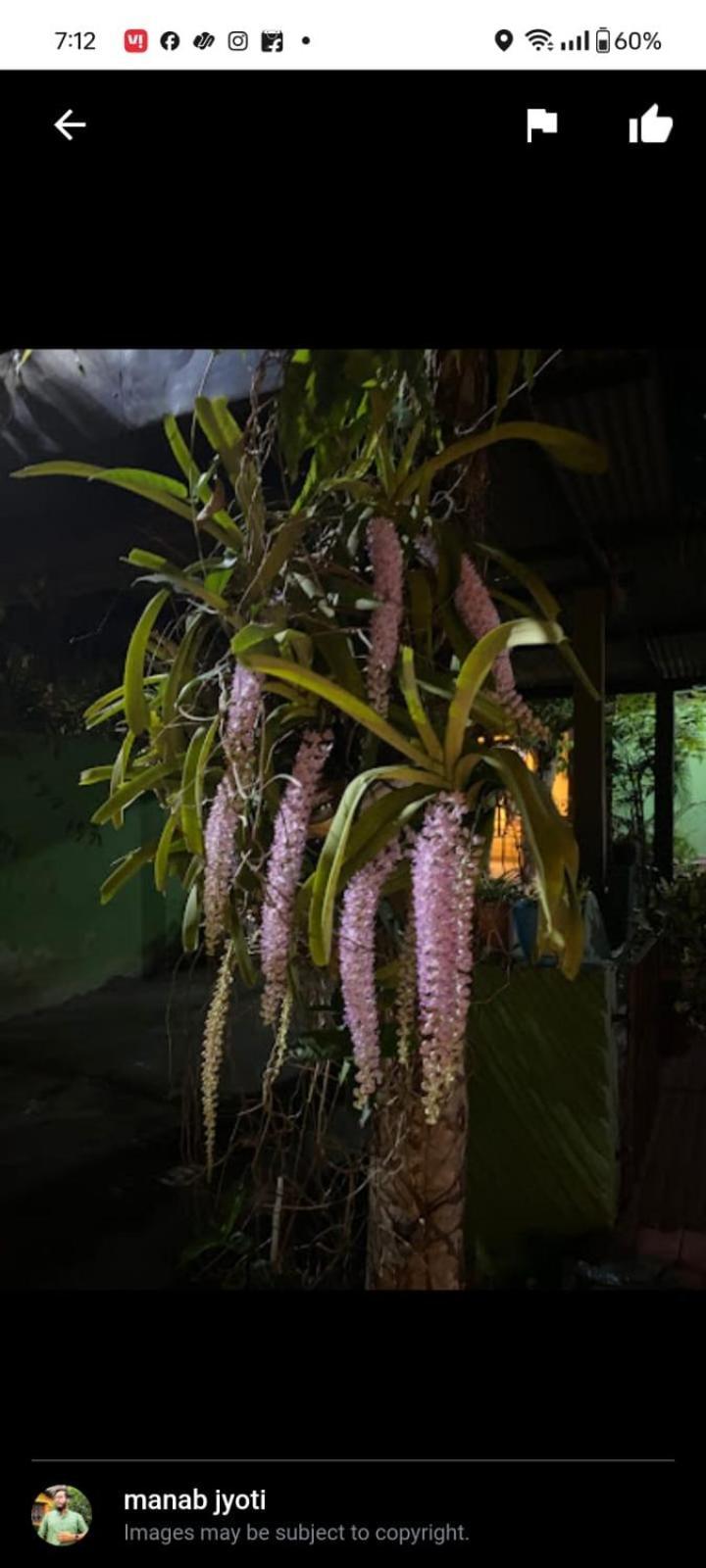 Orchid Park Homestay Sivasagar 외부 사진